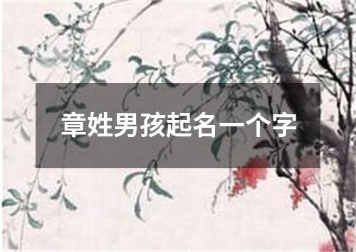 章姓男孩起名一个字