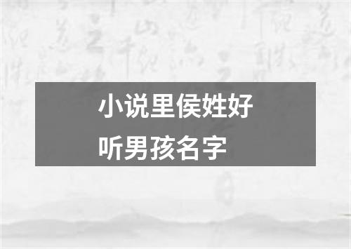 小说里侯姓好听男孩名字