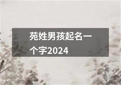 苑姓男孩起名一个字2024