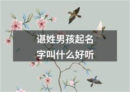 谌姓男孩起名字叫什么好听