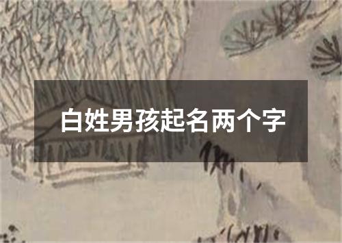 白姓男孩起名两个字