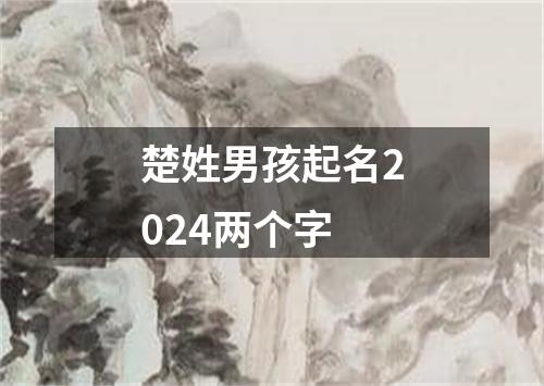 楚姓男孩起名2024两个字