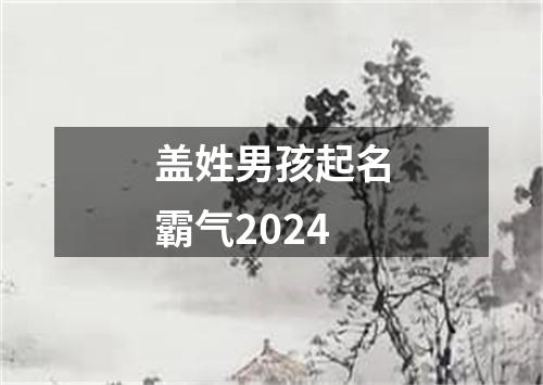 盖姓男孩起名霸气2024