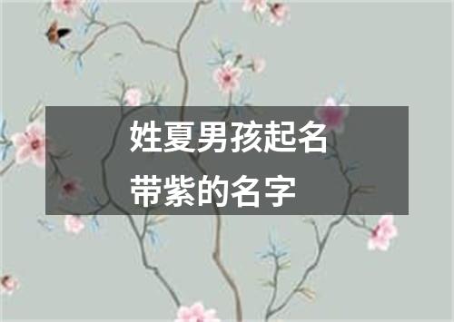 姓夏男孩起名带紫的名字