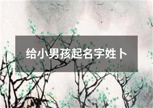 给小男孩起名字姓卜