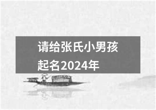 请给张氏小男孩起名2024年