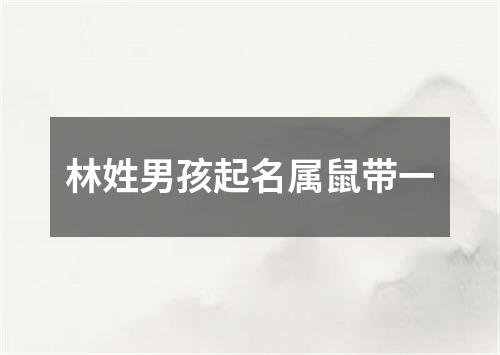 林姓男孩起名属鼠带一