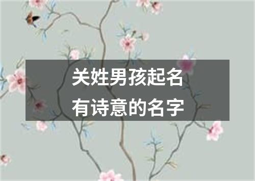 关姓男孩起名有诗意的名字