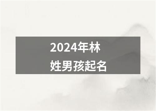 2024年林姓男孩起名