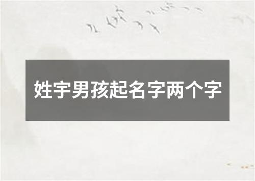 姓宇男孩起名字两个字