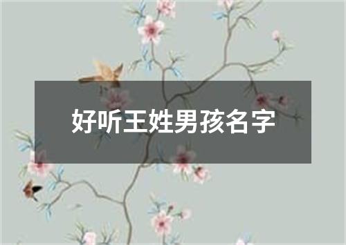 好听王姓男孩名字