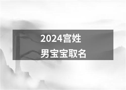 2024宫姓男宝宝取名