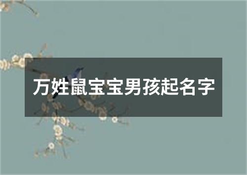 万姓鼠宝宝男孩起名字