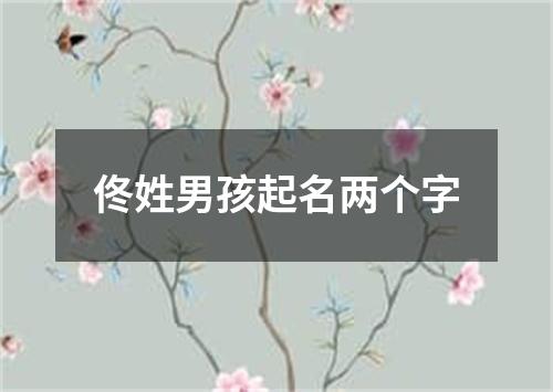 佟姓男孩起名两个字