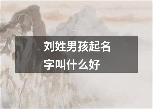 刘姓男孩起名字叫什么好