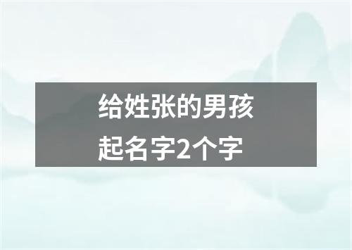 给姓张的男孩起名字2个字