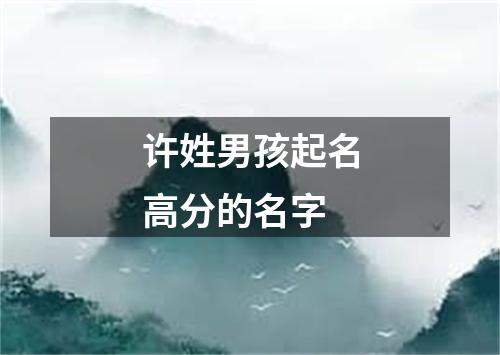 许姓男孩起名高分的名字