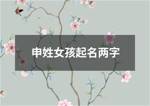 申姓女孩起名两字