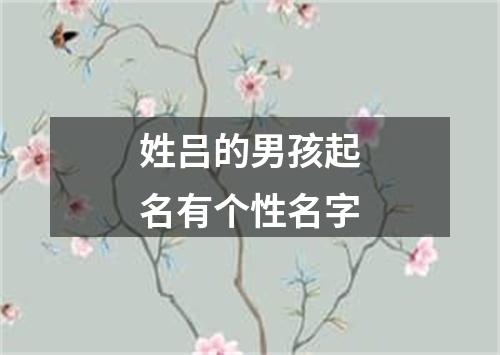 姓吕的男孩起名有个性名字