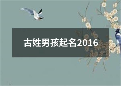 古姓男孩起名2016