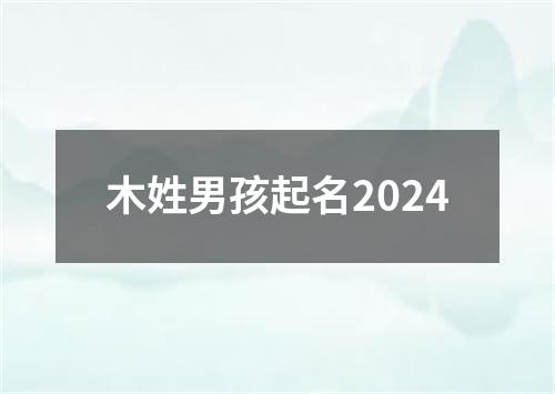 木姓男孩起名2024