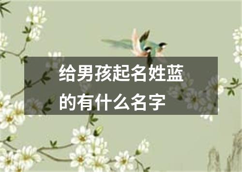 给男孩起名姓蓝的有什么名字