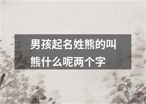 男孩起名姓熊的叫熊什么呢两个字