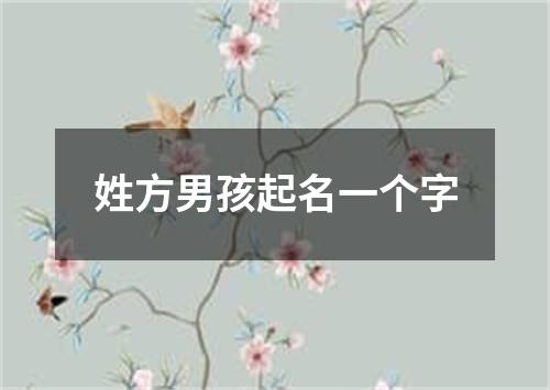 姓方男孩起名一个字