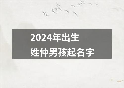 2024年出生姓仲男孩起名字