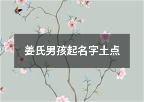 姜氏男孩起名字土点