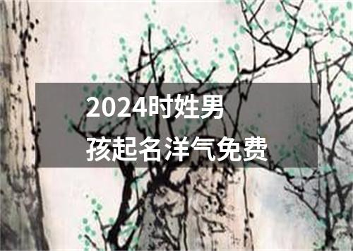 2024时姓男孩起名洋气免费