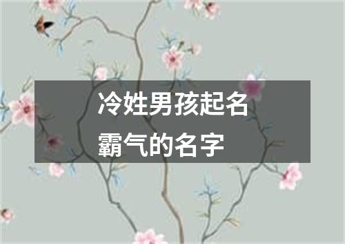 冷姓男孩起名霸气的名字