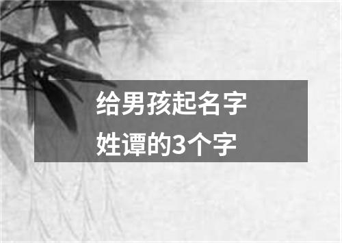 给男孩起名字姓谭的3个字