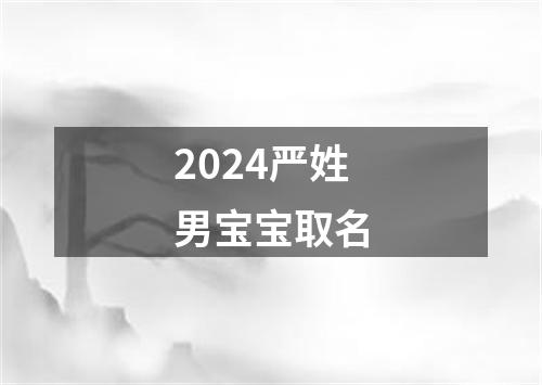 2024严姓男宝宝取名