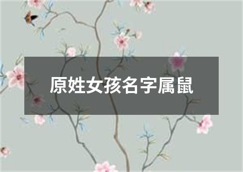 原姓女孩名字属鼠