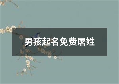 男孩起名免费屠姓