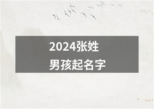 2024张姓男孩起名字