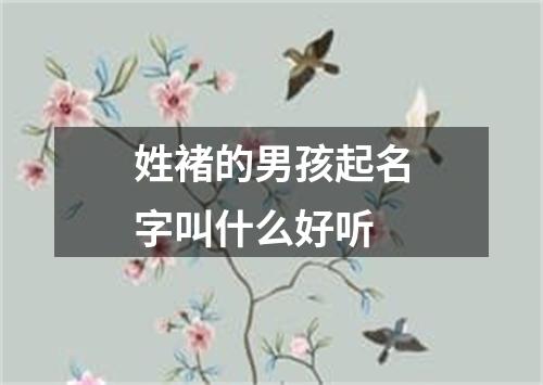 姓褚的男孩起名字叫什么好听