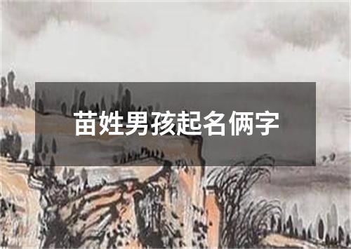 苗姓男孩起名俩字