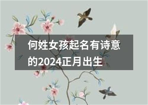 何姓女孩起名有诗意的2024正月出生