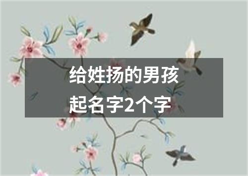 给姓扬的男孩起名字2个字