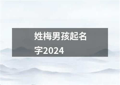 姓梅男孩起名字2024