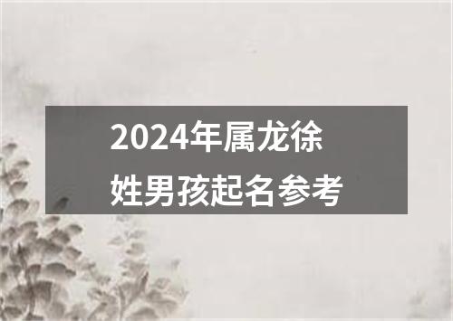 2024年属龙徐姓男孩起名参考