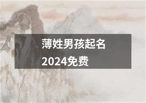 薄姓男孩起名2024免费