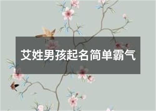 艾姓男孩起名简单霸气