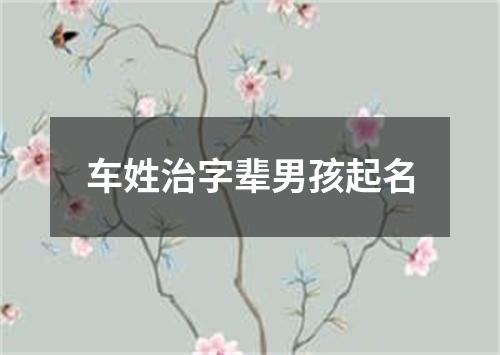 车姓治字辈男孩起名