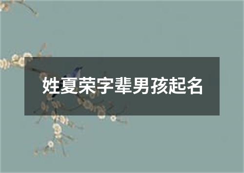 姓夏荣字辈男孩起名