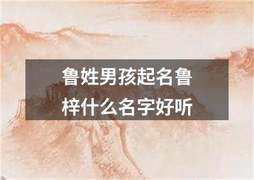 鲁姓男孩起名鲁梓什么名字好听