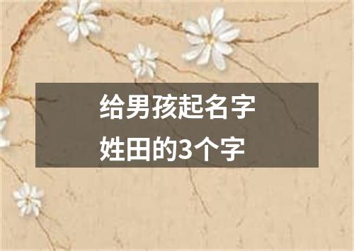 给男孩起名字姓田的3个字