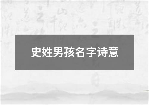 史姓男孩名字诗意